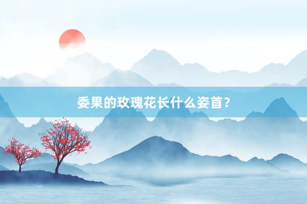 委果的玫瑰花长什么姿首？