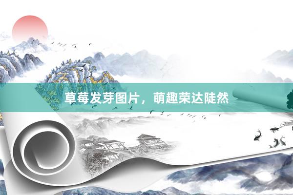 草莓发芽图片，萌趣荣达陡然