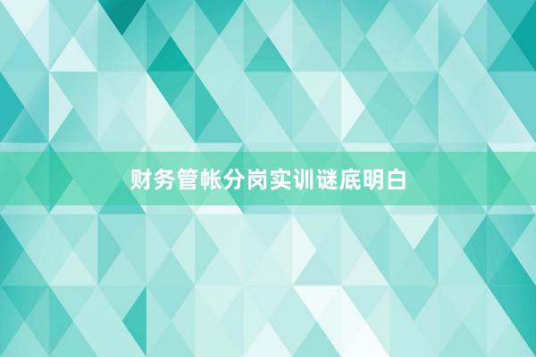 财务管帐分岗实训谜底明白